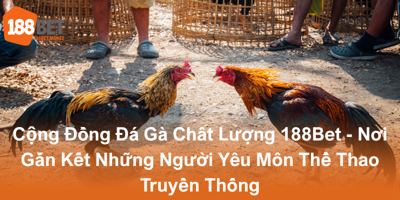Đá Gà 188Bet - Trải Nghiệm Chơi Cá Cược Đỉnh Cao Tại Nhà Cái Uy Tín 3 Cong Dong Da Ga Chat Luong 188Bet Noi Gan Ket Nhung Nguoi Yeu Mon The Thao Truyen Thong0
