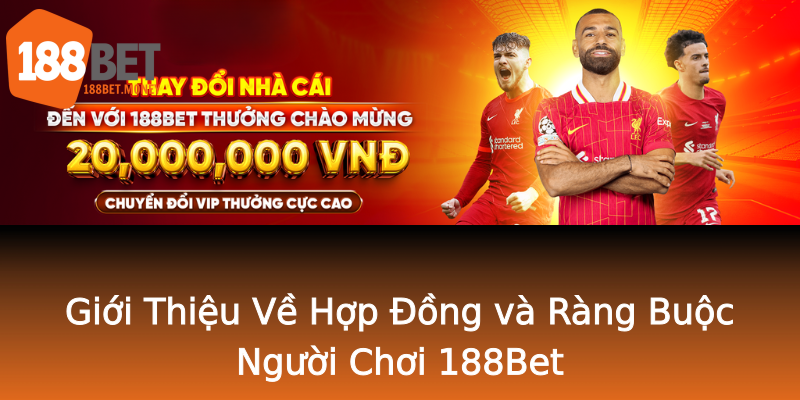Giới Thiệu Về Hợp Đồng và Ràng Buộc Người Chơi 188Bet Giới Thiệu Về Hợp Đồng và Ràng Buộc Người Chơi 188Bet