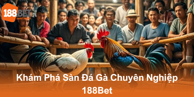 Đá Gà 188Bet - Trải Nghiệm Chơi Cá Cược Đỉnh Cao Tại Nhà Cái Uy Tín 1 Kham Pha San Da Ga Chuyen Nghiep 188Bet0