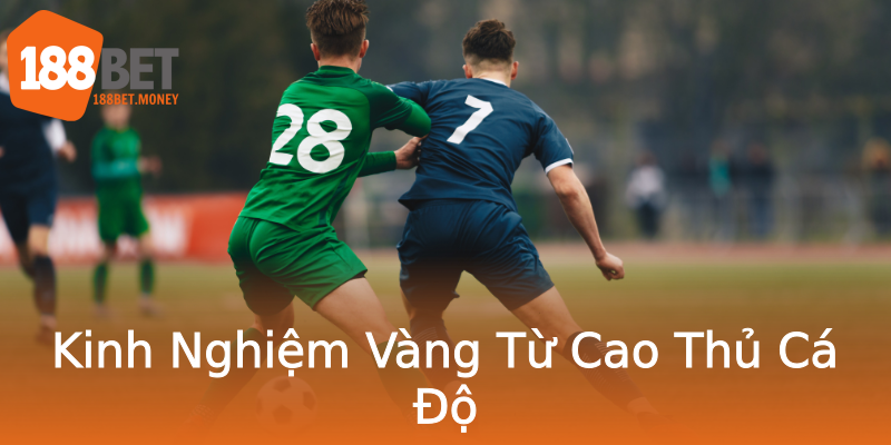 Kinh Nghiệm Vàng Từ Cao Thủ Cá Độ Kinh Nghiệm Vàng Từ Cao Thủ Cá Độ