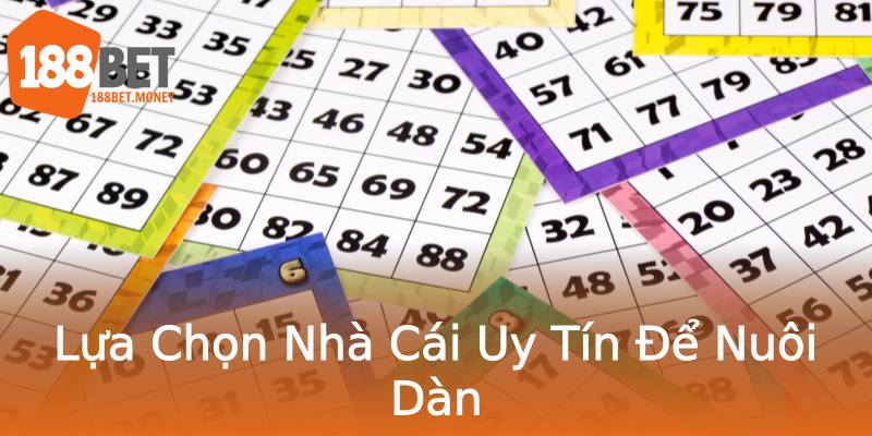 Lựa Chọn Nhà Cái Uy Tín Để Nuôi Dàn Lựa Chọn Nhà Cái Uy Tín Để Nuôi Dàn