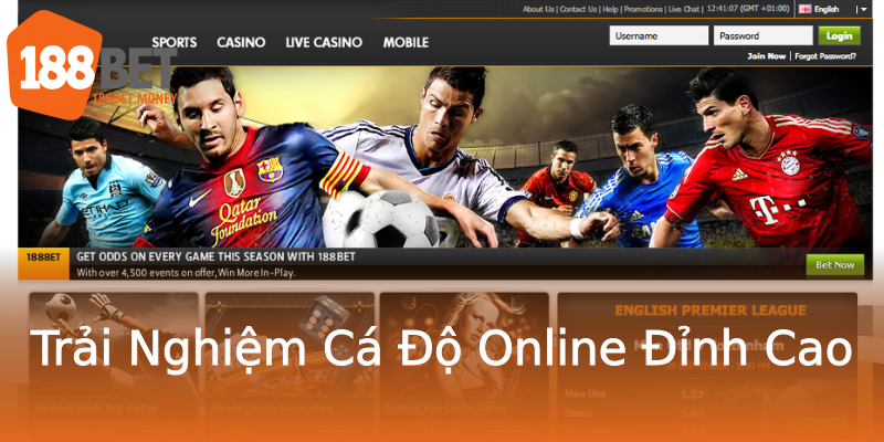 Trải Nghiệm Cá Độ Online Đỉnh Cao Trải Nghiệm Cá Độ Online Đỉnh Cao